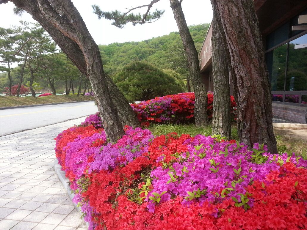 연수원 전경사진 품평회 우수작 (4월)