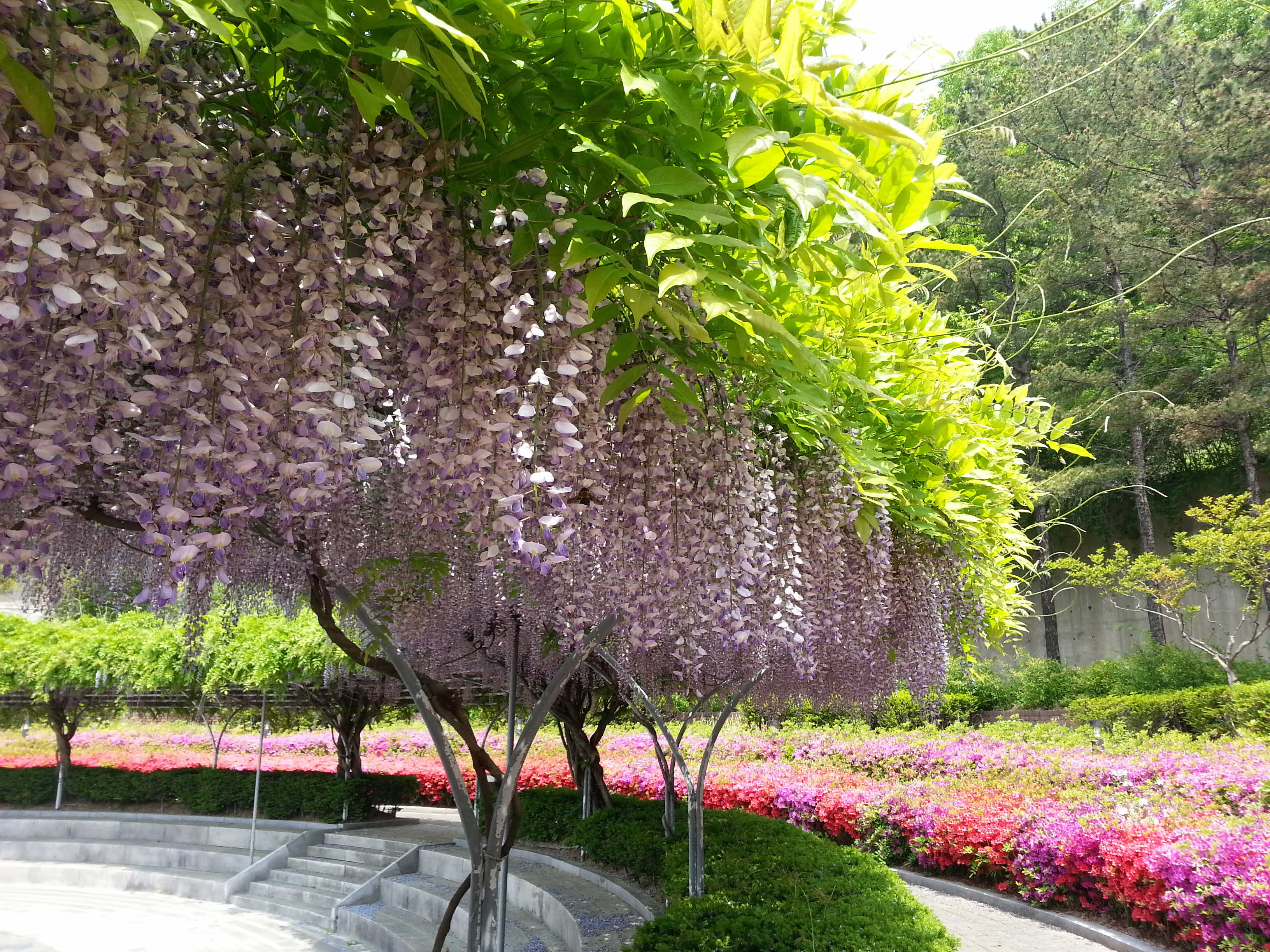 연수원 전경사진 품평회 우수작 (5월) 