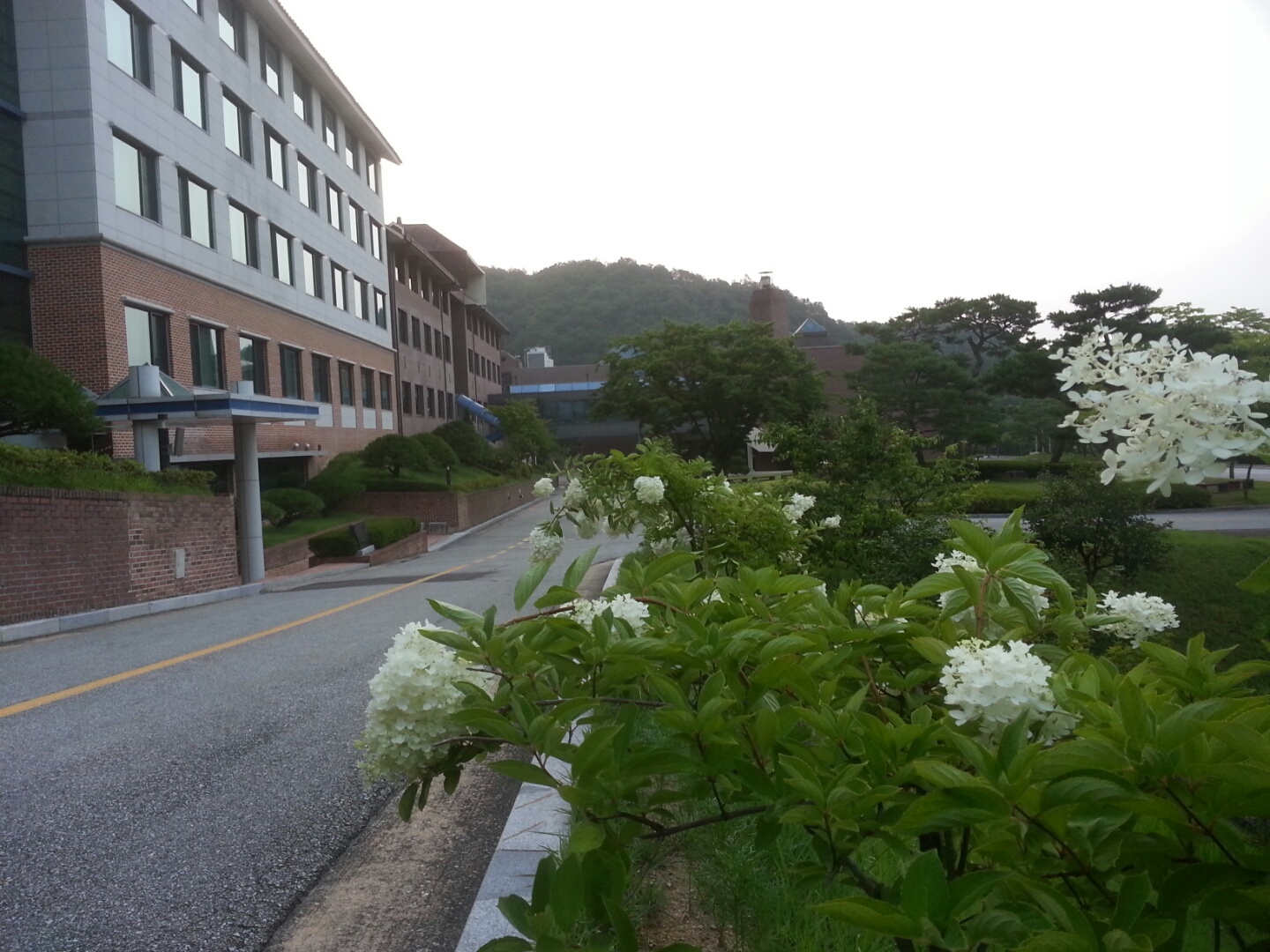 연수원 전경사진 품평회 우수작 (7월)