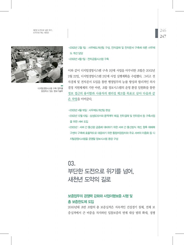 247페이지